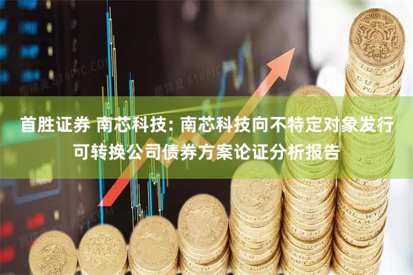 首胜证券 南芯科技: 南芯科技向不特定对象发行可转换公司债券方案论证分析报告
