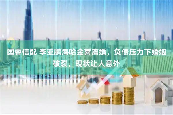 国睿信配 李亚鹏海哈金喜离婚，负债压力下婚姻破裂，现状让人意外