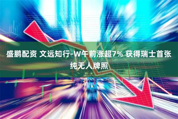 盛鹏配资 文远知行-W午前涨超7% 获得瑞士首张纯无人牌照