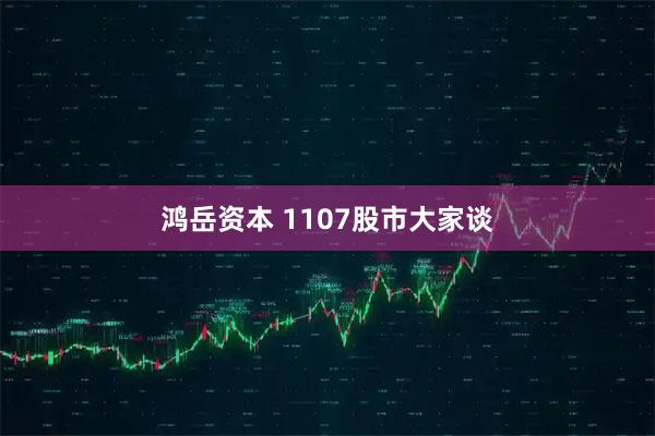 鸿岳资本 1107股市大家谈
