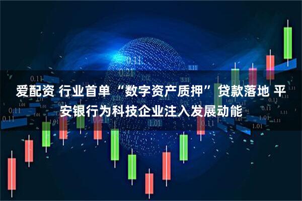 爱配资 行业首单 “数字资产质押” 贷款落地 平安银行为科技企业注入发展动能