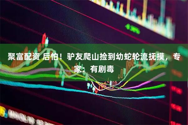 聚富配资 后怕！驴友爬山捡到幼蛇轮流抚摸，专家：有剧毒