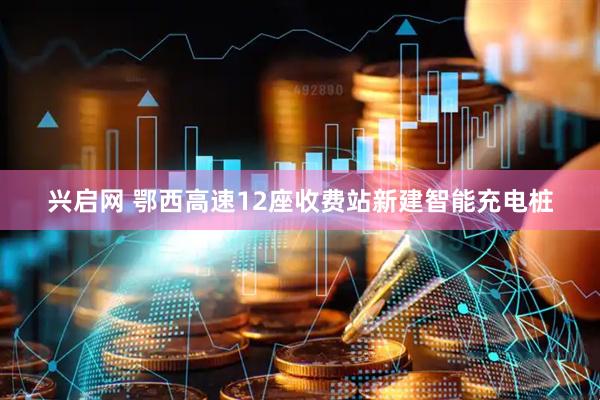 兴启网 鄂西高速12座收费站新建智能充电桩
