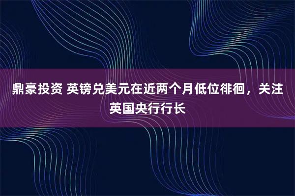 鼎豪投资 英镑兑美元在近两个月低位徘徊，关注英国央行行长