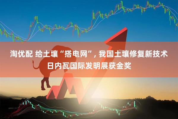 淘优配 给土壤“搭电网”, 我国土壤修复新技术日内瓦国际发明展获金奖